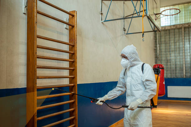 istock Man in protective suit disinfecting school building 1273291395