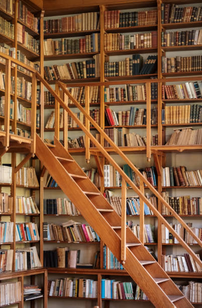 istock Old library with ladder and shelves 1273291458