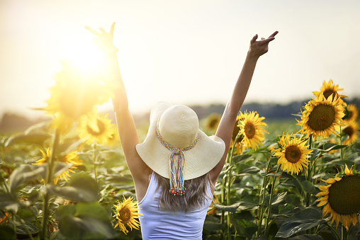 Rear view of woman in sunflowers field with raised arm