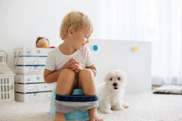 Blond toddler child, using potty at home, little pet maltese dog next to him Blond toddler child, using potty at home, little pet maltese dog lying next to him potty toilet child bathroom stock pictures, royalty-free photos & images