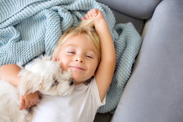 bambino piccolo bambino, ragazzo, sdraiato a letto con cane da compagnia, cagnolino maltese - bed child smiling people foto e immagini stock