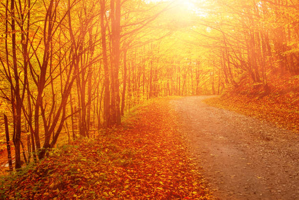 istock Beautiful autumn landscape 1273295791