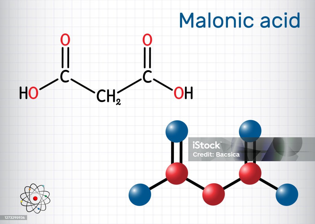 Malonic acid, dicarboxylic, propanedioic acid molecule. The ionized form its ester and salt, are known as malonate. Sheet of paper in a cage Malonic acid, dicarboxylic, propanedioic acid molecule. The ionized form its ester and salt, are known as malonate. Sheet of paper in a cage. Vector illustration Acid stock vector