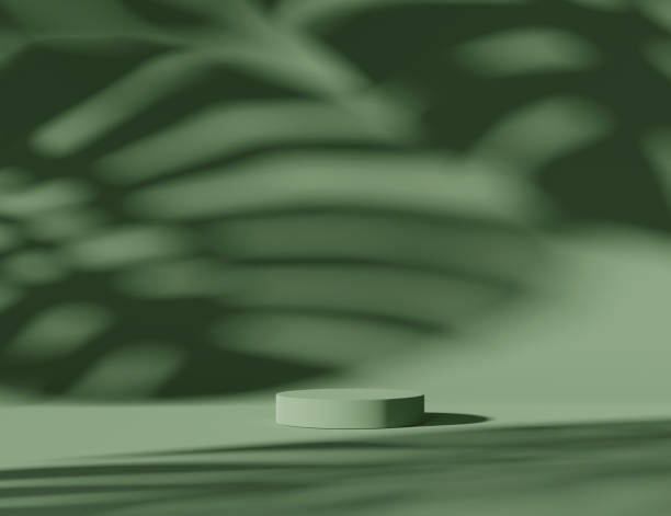 Photo of 3D pedestal podium on tropical pastel green background. Exotic natural monstera palm leaf shadow  Beauty cosmetics product promotion display showcase. Jungle Minimal abstract 3D render illustration