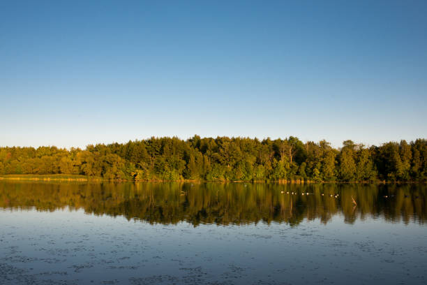 istock Quiet lake in the evening in Canada 1273297197