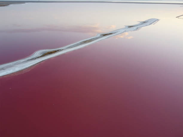 istock Salt spit on a pink lake. 1273298574