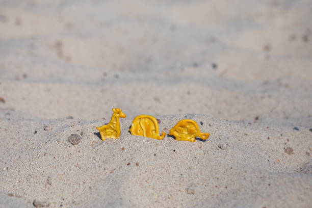 istock Animal (turtle, giraffe, elephant) shaped crackers in the sand on the beach 1273298920