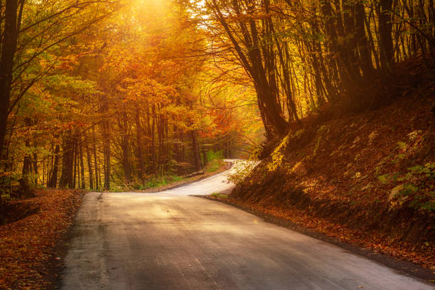 istock Beautiful autumn landscape 1273300042
