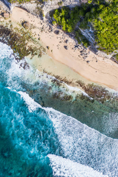 istock Blue ocean and cliffs covered with tropical plants. Bali beach from above. Aerial drone shot. 1273305589