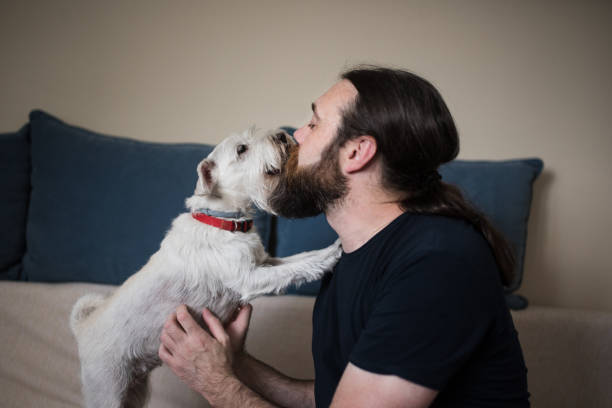 istock dog kiss man 1273305937