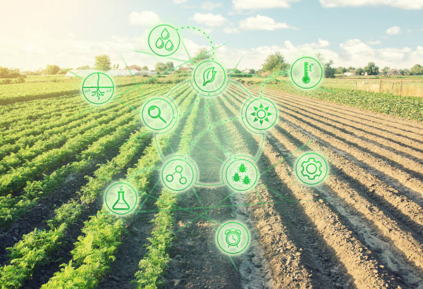 istock Futuristic innovative technology pictogram on a Half planted field with and second part is ready for sowing. Converting to agricultural land. Land cultivation. European organic farming. 1273306015