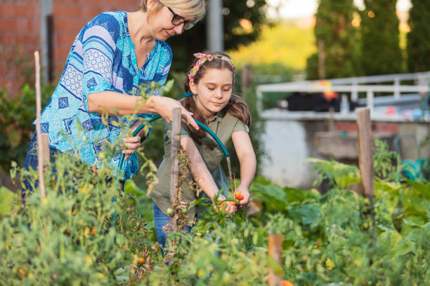 istock Happy on our organic farm 1273310633