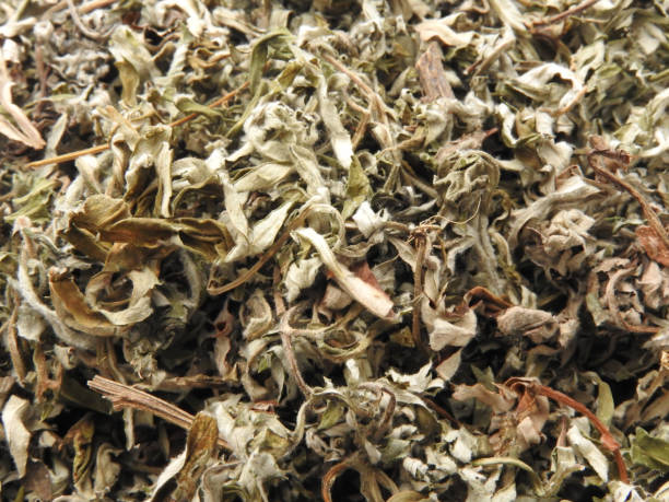 istock Dry mugwort background. Chinese herbal medicine. 1273314104