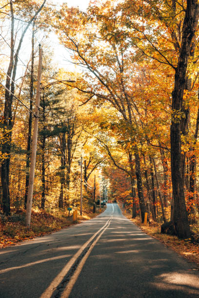 istock autumnal country road 1273314357