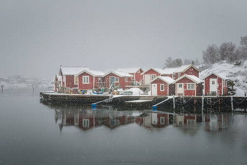 dangerous ice, ice floes on a frozen river