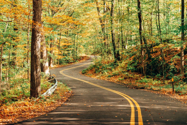 autumnal country road autumnal country road woodstock stock pictures, royalty-free photos & images