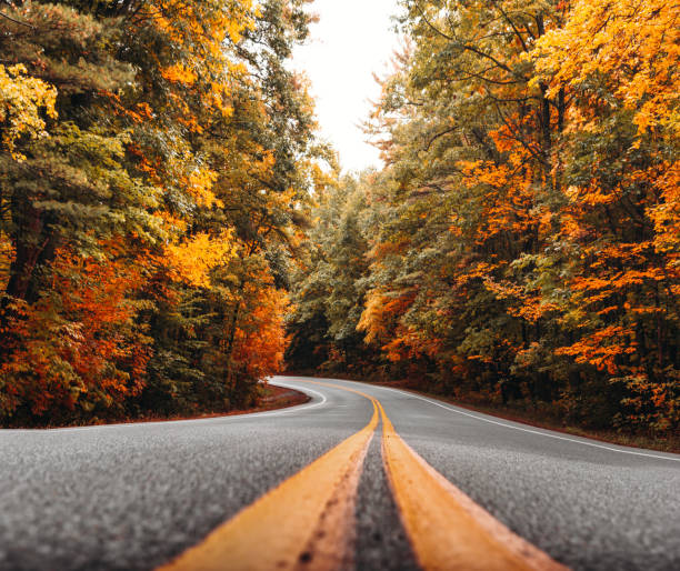 autumnal country road autumnal country road woodstock stock pictures, royalty-free photos & images