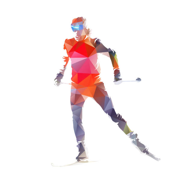 ilustrações de stock, clip art, desenhos animados e ícones de cross country skiing, isolated low polygonal vector skier illustration - czech republic ski winter skiing