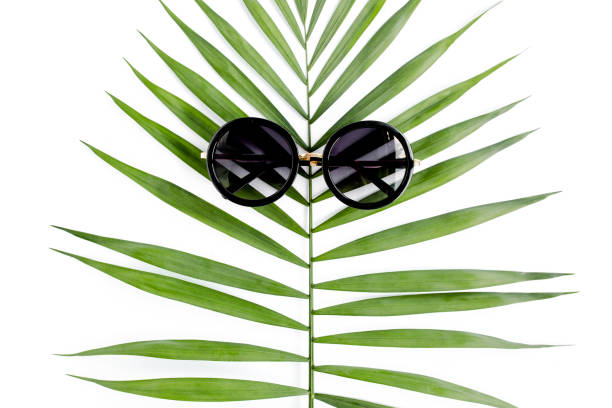 istock Tropical hipster leaf in sunglasses on white background. Flat laying, top view 1273321764