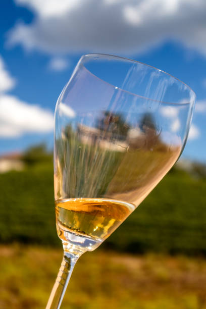 Horizontal upwards shot of a wine glass
