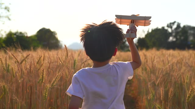 A boy in a white shirt holds a toy plane Running in the wheat field He used his imagination to think that he was a pilot. Run freely in the wheat fields.