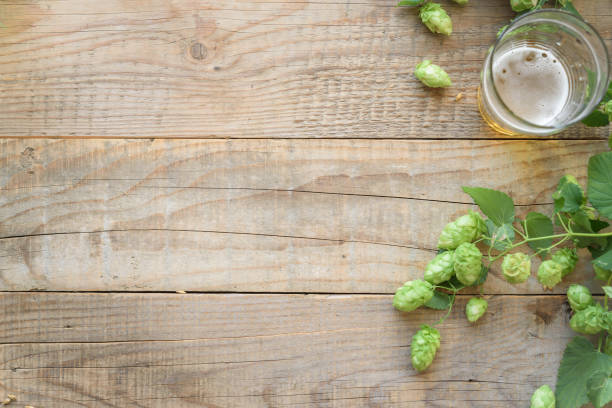 fondo de cerveza artesanal de malta y lúpulo con espacio de copia. - rustic beer brewery indoors fotografías e imágenes de stock