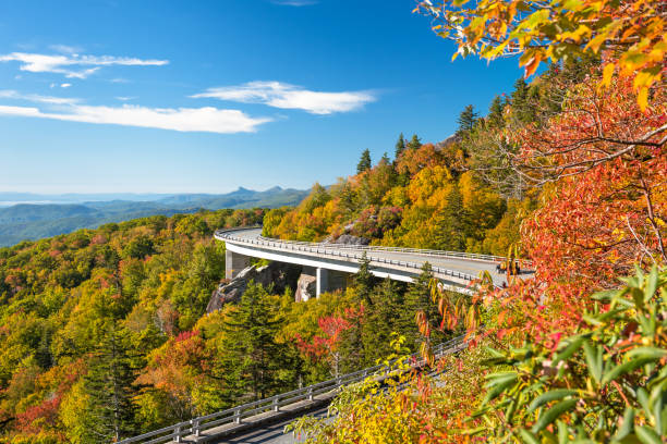 istock Grandfather Mountain, North Carolina, USA. 1273326332