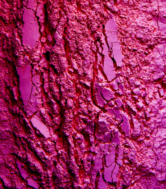 Pink eyeshadow texture Magenta eyeshadow crushed, close-up. eyeshadow photos stock pictures, royalty-free photos & images
