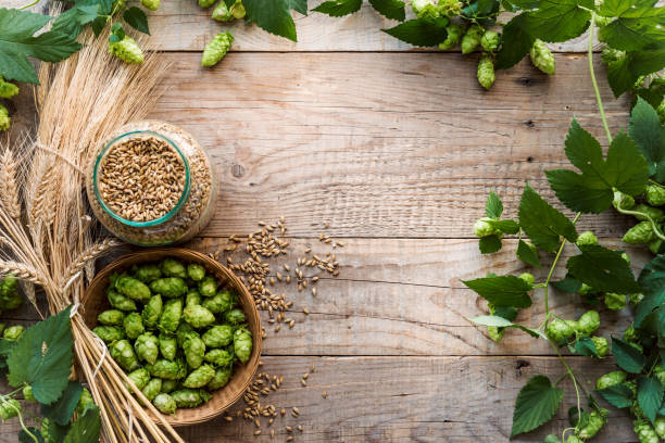 Malt and hops craft beer background with copy space. Beer Fest festival beer background. Malt and hops craft beer background with copy space. Beer brewing and recipe concept. pub table top view stock pictures, royalty-free photos & images