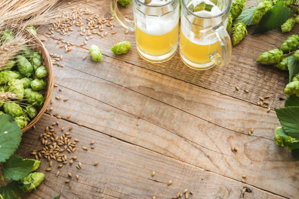 fondo de cerveza artesanal de malta y lúpulo con espacio de copia. - rustic beer brewery indoors fotografías e imágenes de stock