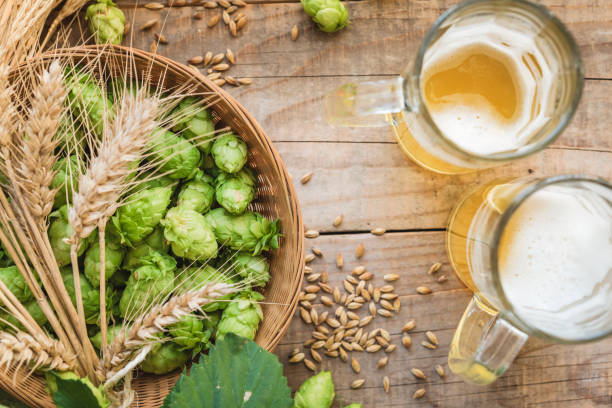 istock Malt and hops craft beer background with copy space. 1273328768