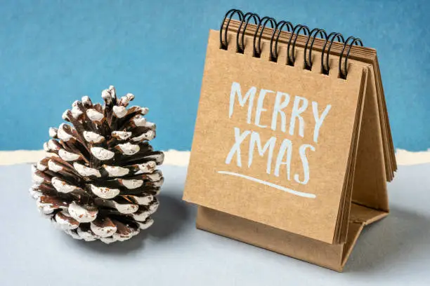 Merry Christmas greeting card - handwriting in a sketchbook with a decorative frosty pine cone, winter holidays concept