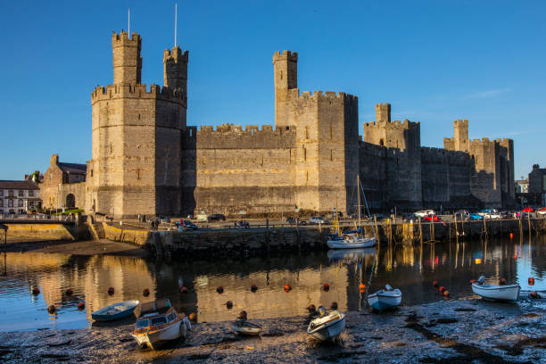 caernarfon castle in wales, vereinigtes königreich - caenarvon castle caernarfon castle wales stock-fotos und bilder