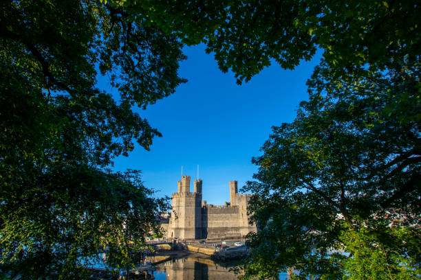 caernarfon castle in wales, vereinigtes königreich - caenarvon castle caernarfon castle wales stock-fotos und bilder