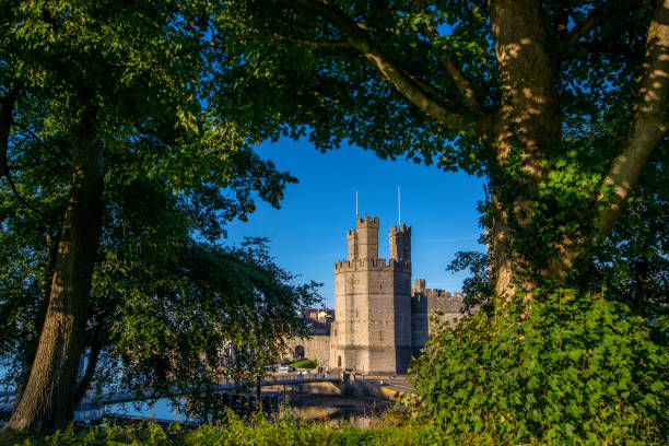 Caernarfon, Wales - August 31st 2020: A view through the trees of the historic Caernarfon Castle in the town of Caernarfon in North Wales, UK.