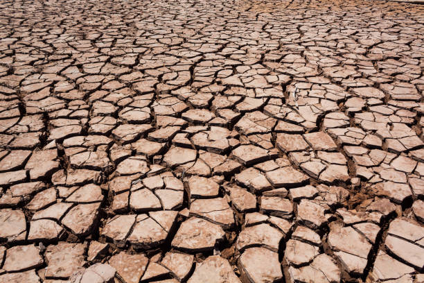istock Multiple fractures in the dry ground. 1273332254