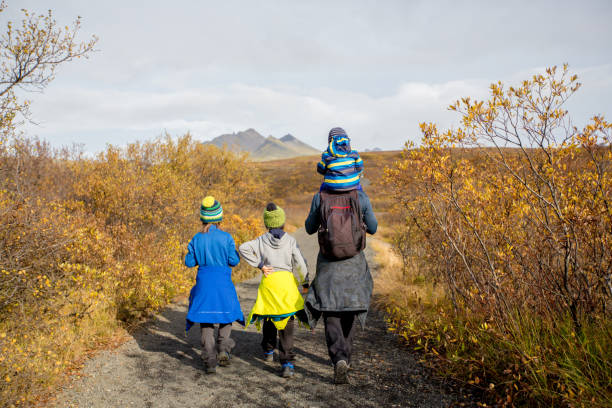 mensen die in het gebied van mooie waterval in nationaal park skaftafell in ijsland lopen - skaftafell national park stockfoto's en -beelden
