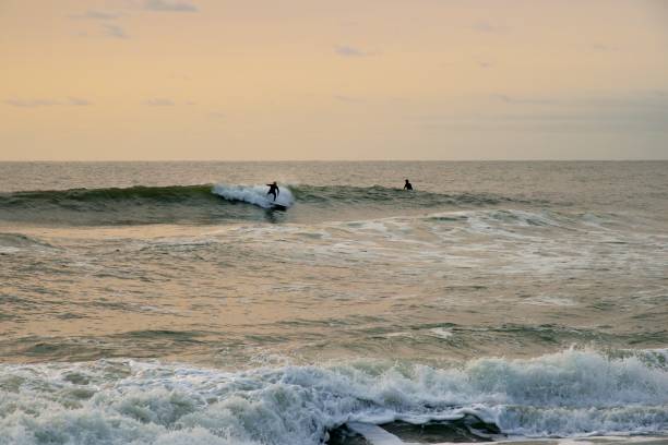 istock Assateague Beach Surfboarding at Dawn 1273337859