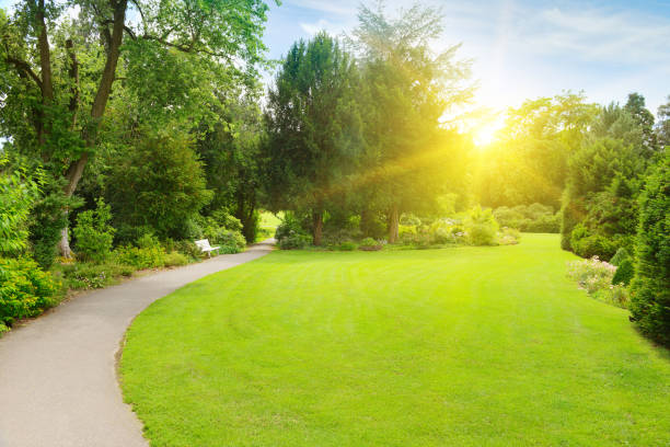 istock Bright morning sun illuminates beautiful garden with large meadow 1273340819