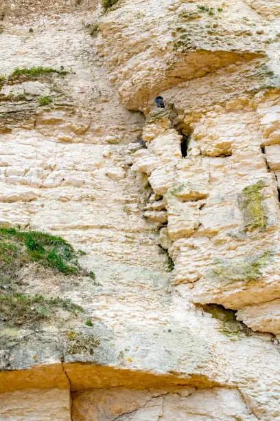 Photo of Cliff face at Hunstanton