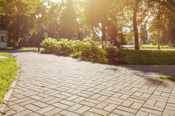 Alley in the city park. Backlighting. Lens flare effect.