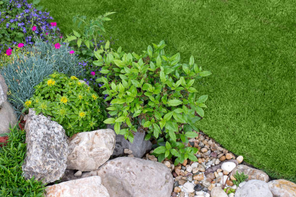 istock Ornamental garden in summer 1273344898