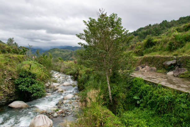 istock Mountain river through rice field landscape in Southeast Asia 1273344992