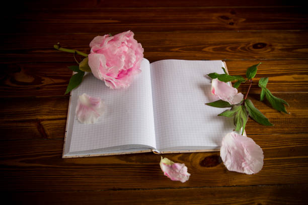 istock pink beautiful peony with petals, blank notebook for text 1273347513