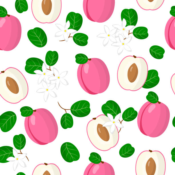 Vector cartoon seamless pattern with Chrysobalanus icaco plum exotic fruits, flowers and leafs on white background Vector cartoon seamless pattern with Chrysobalanus icaco or golden plum exotic fruits, flowers and leafs on white background for web, print, cloth texture or wallpaper chrysobalanaceae stock illustrations