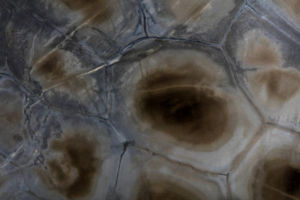istock Natural quartzite background for your expensive design. High quality texture. 1273349487