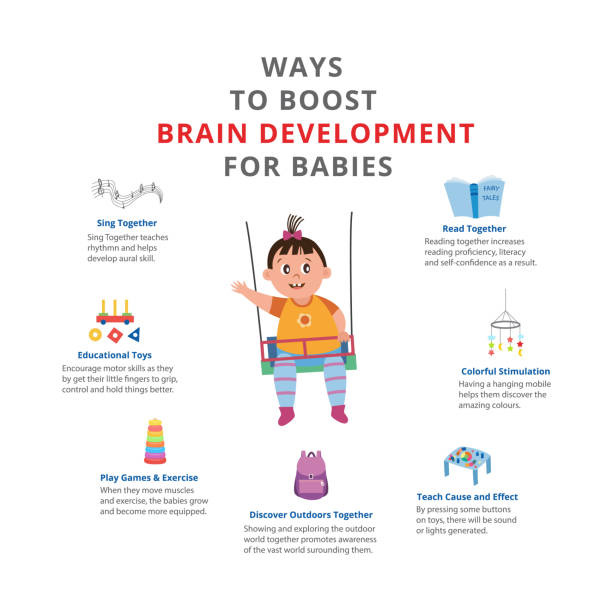 Intellectually Newborn Development 160+ Baby Brain Development Stock Illustrations, Royalty-Free Vector ...