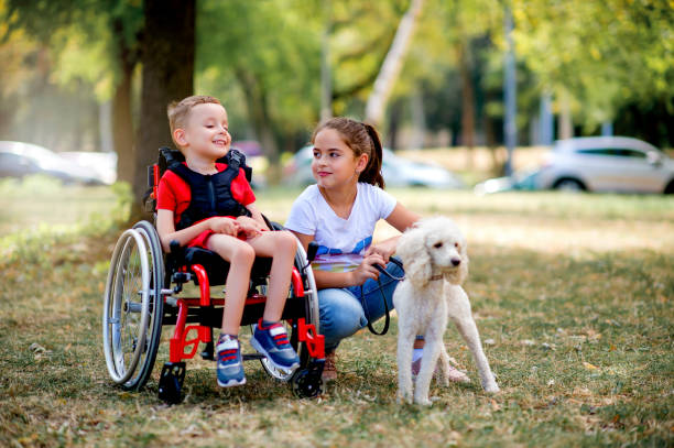 lindo niño en silla de ruedas jugando con su hermana y perro fuera - silla de ruedas fotografías e imágenes de stock