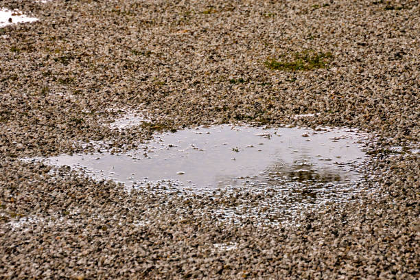 Photo Picture Puddle of water and raindrops