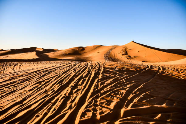 istock sand dunes in the desert, photo as background 1273355719